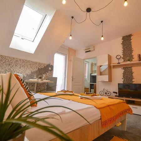 Misha Studio - Cozy Place To Stay In Novi Sad Dış mekan fotoğraf