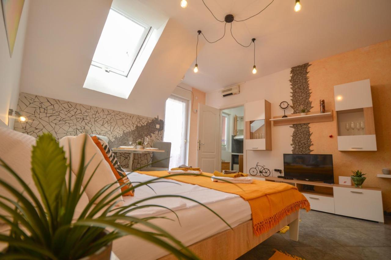 Misha Studio - Cozy Place To Stay In Novi Sad Dış mekan fotoğraf